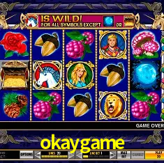 okaygame Rio de Janeiro - Professional Dealers